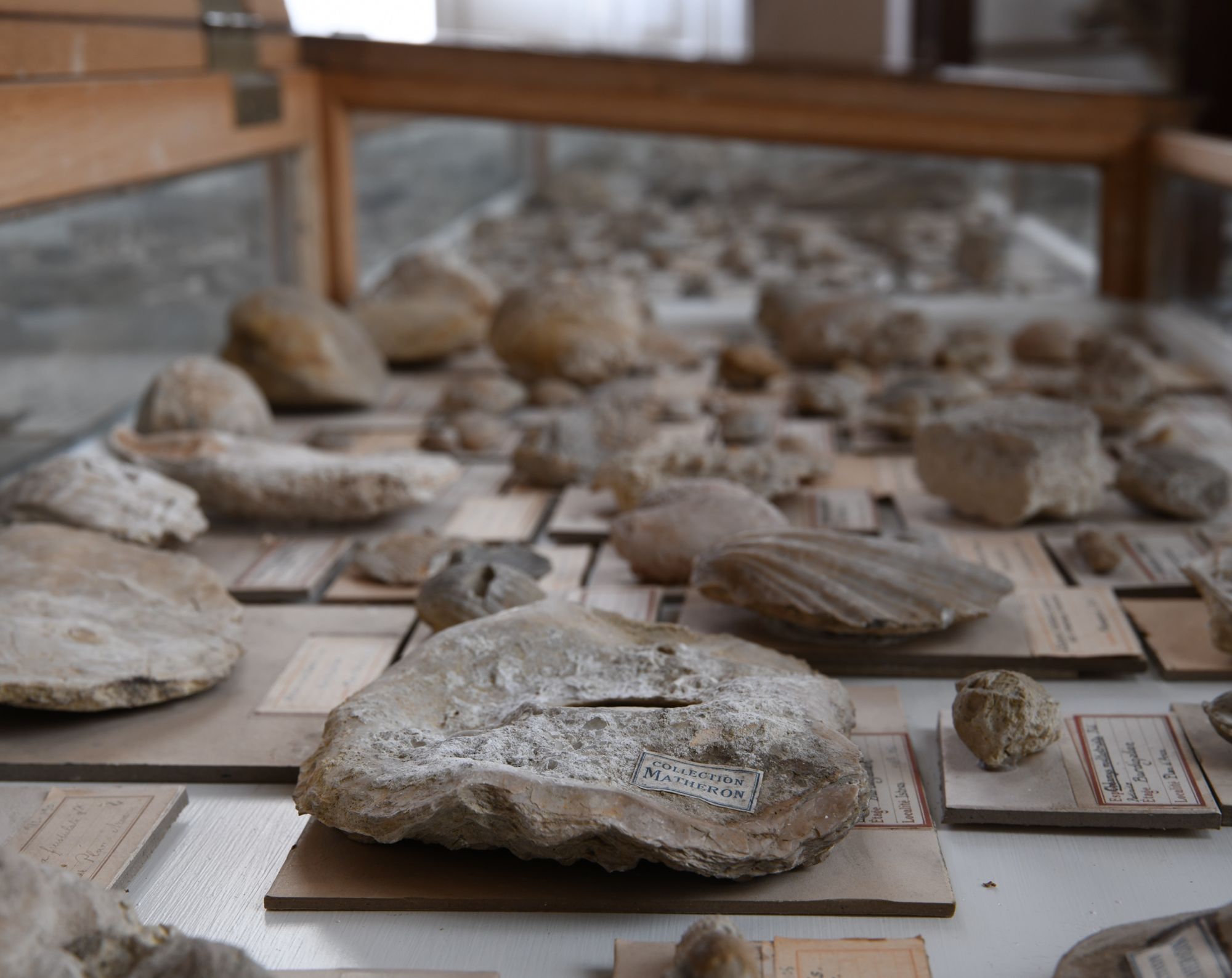 La collection Philippe Matheron